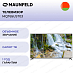 Купить Телевизор Maunfeld MQT65UST03, 4K Ultra HD, СМАРТ ТВ, Салют ТВ preview 1